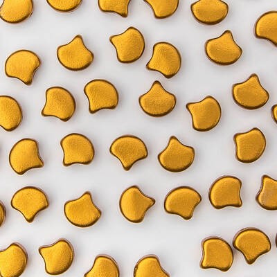 Ginkgo Bead 7.5 x 7.5 mm Brass Gold x 10 g